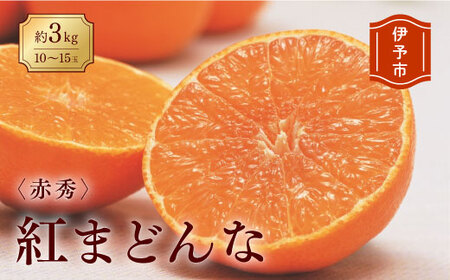 みかん 愛媛 紅まどんな 約3kg  L～3L（赤秀）【2025年12月から順次発送予定】 人気 数量限定 先行予約 柑橘 JA正規品 化粧箱入り 国産 フルーツ 果物 ギフト用柑橘 フルーツギフト 贈答用 愛果28号 えひめ中央農協  伊予市【数量限定】 | C42