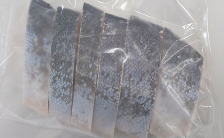 銀鮭 厚切り 切り身 1kg 銀鮭