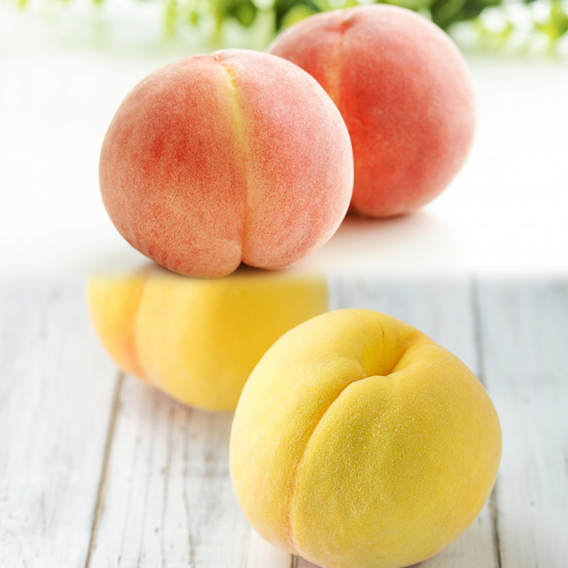 【定期便3回】とびっきりの山形フルーツセット 【令和8年産先行予約】FS24-797