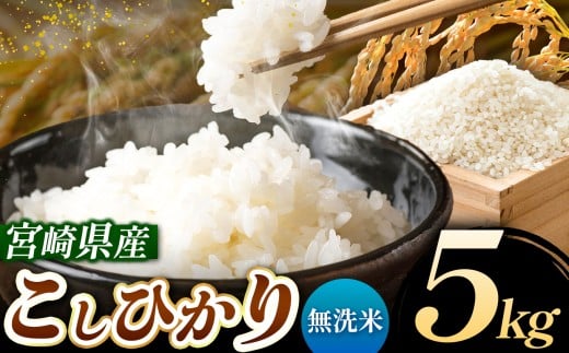 令和7年産 こしひかり 5kg （無洗米） 宮崎県産 | 米 こめ お米 おこめ 精米 白米 宮崎県 五ヶ瀬町