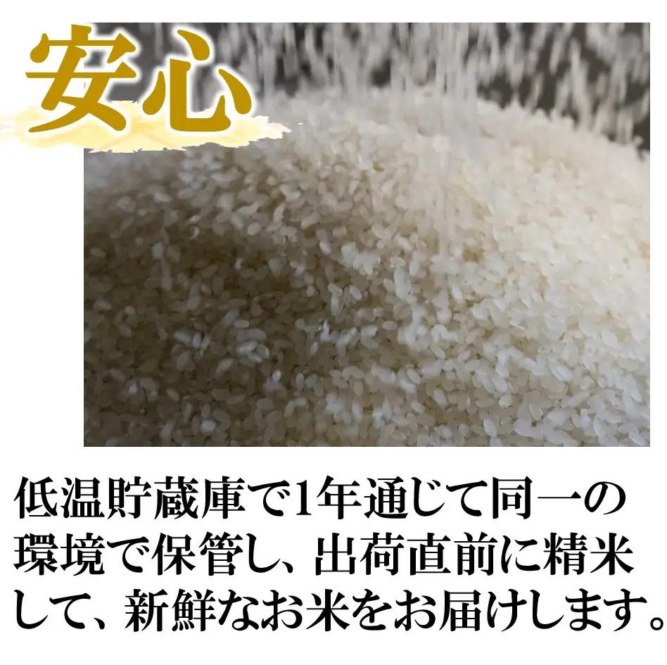 【ふるなび限定】【スピード発送】令和７年産 ヒノヒカリ 5kg 白米 FN-Limited-PR