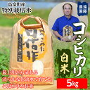 【ふるさと納税】 【遠藤農園】令和6年度 山形県高畠町産 特別栽培米 コシヒカリ 白米 5kg (1袋) 精米 米 お米 おこめ ごはん ブランド米 産地直送 農家直送 F21B-166