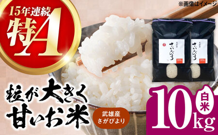 【14年連続特A評価】武雄市産 さがびより 10kg（5kg×2袋） /株式会社 y’s company[UDX017]