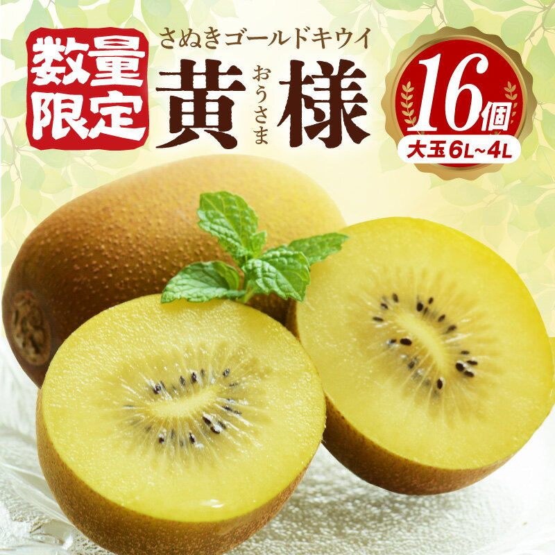 【ふるさと納税】【数量限定】 キウイ キウイフルーツ さぬきゴールドキウイ「黄様」16個入り [ 高糖度 大玉 フルーツ 果物 黄肉 甘い 人気 おすすめ 美味しい 贈答用 ギフト お取り寄せ グルメ 国産 送料無料 香川県 三豊市 返礼品 造田商店 ]