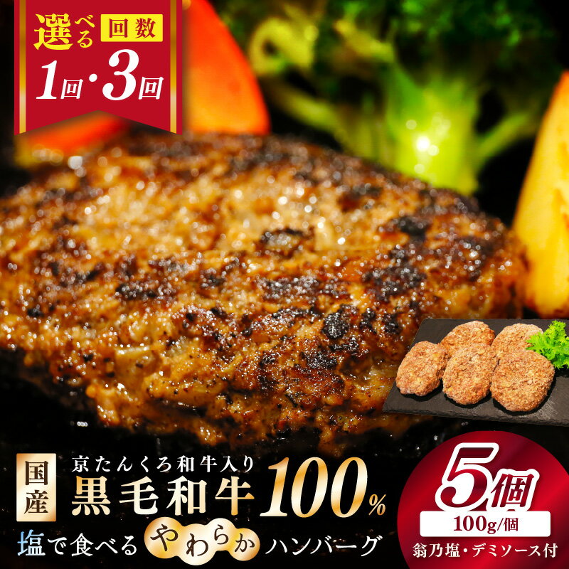 【ふるさと納税】塩で食べるやわらかハンバーグ（デミグラスソース付）1回 3回 ふるさと納税 ハンバーグ ふるさと納税 肉