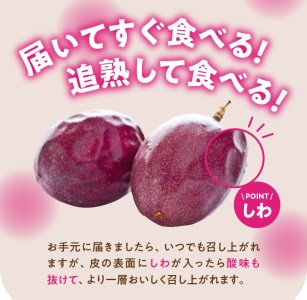 【 2026年 発送 先行予約 】 奄美 パッションフルーツ A品（50玉入 D.B）約5kg A070-002 奄美大島産 贈答用 果物 トロピカルフルーツ 南国フルーツ  爽やか 酸味 濃厚 甘み