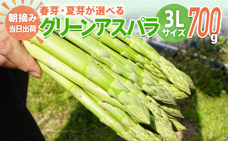 
先行予約 アスパラ 3Lサイズ 700g 朝採り 直送 選べる 春芽 夏芽 グリーンアスパラガス 数量限定 朝採れ BT01 BT05 BT-S0001
