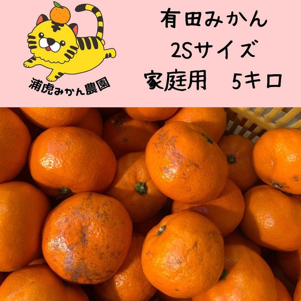 
            訳あり温州みかん 家庭用 箱込み 5kg（SSサイズ）小さなミカンが好きな人におすすめ
          