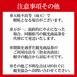 【ASOおぐに観光協会】小国の花火2026 観覧席（最大6名利用可）観光商品券3千円セット ゆったり スペース 花火が近い 撮影ブース チケット付き お土産 飲食 宿泊 利用可 夏の思い出 旅の思い出