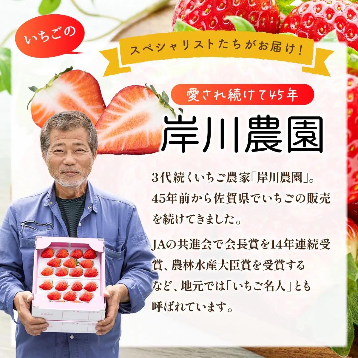 【先行予約】数量限定！佐賀県人気No.1苺”いちごさん” たっぷり約1.9㎏（235g×8p）