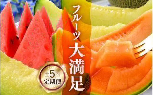 【先行予約】《定期便全5回》フルーツ大満足定期便 ／ すいか マスクメロン 高級メロン 大玉 果物 フルーツ 夏 ギフト 農家直送 ※2025年6月上旬以降発送  [aw065-d001]