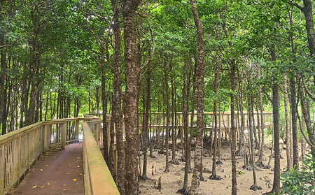 車椅子で金武町の自然と歴史とフードを満喫する我らが家は五大州5時間コース 安全第一 プロの運転技術 車椅子対応 事故防止 安全管理 丁寧な運転 安心サポート 快適 リラックス 思いやり 丁寧な接客 利