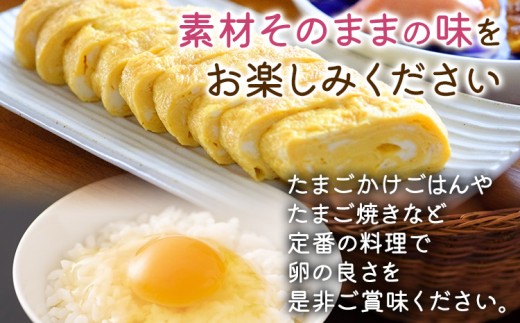 【定期便(6回発送)】木村さんちのたまご（前期）定期便 2026