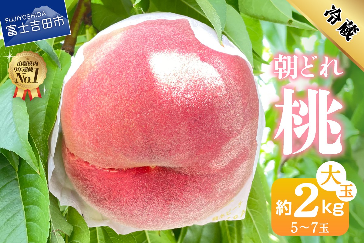 
                  【2026年発送】山梨の朝どれ桃2kg　大玉5玉～7玉  もも 山梨県産 モモ 厳選 フルーツ 果物 くだもの 山梨 富士吉田
                
