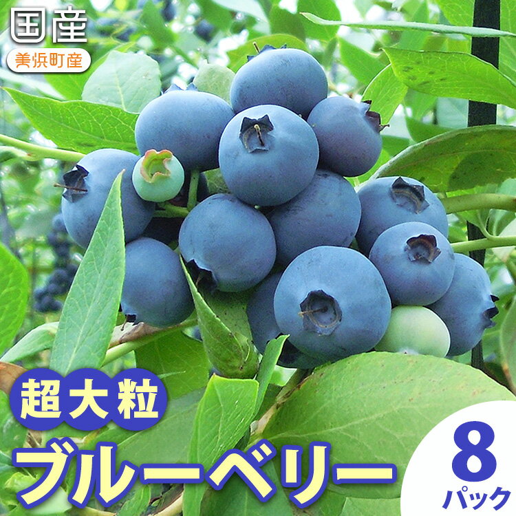 【ふるさと納税】国産（美浜町産）超大粒ブルーベリー『8パック入り』 ※2026年5月上旬〜7月上旬頃に順次発送予定 | ブルーベリー 超大粒 果物 くだもの フルーツ ふるーつ 8パック 愛知県 美浜町