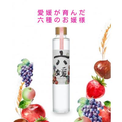 ふるさと納税 伊予市 道後ジン　六媛　200ml