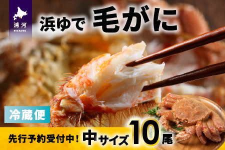 【先行受付開始！】漁協の浜ゆで毛がに 中サイズ10尾※日付指定対応不可※[02-1418]