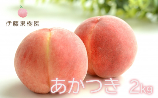 No.1974 もも「あかつき」約2kg【2025年発送】