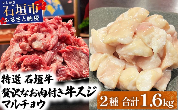 【2025年11月以降順次発送】特選石垣牛の牛スジとマルチョウをご家庭で！！牛スジ500g×2、マルチョウ300ｇ×2の大容量セット