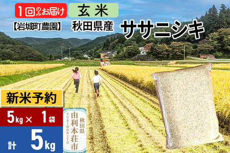 《令和7年産》【玄米】ササニシキ 5kg(5kg×1袋) 秋田県 由利本荘市産 令和7年産 真空パック 岩城町農園
