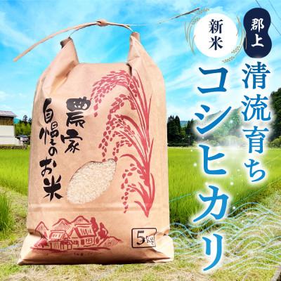 ふるさと納税 郡上市 令和7年産 郡上産こしひかり 5kg |  | 01