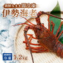 【ふるさと納税】 伊勢海老 冷凍 約 1.2kg 加熱調理用 イセエビ エビ えび 家庭用 訳あり 味噌汁