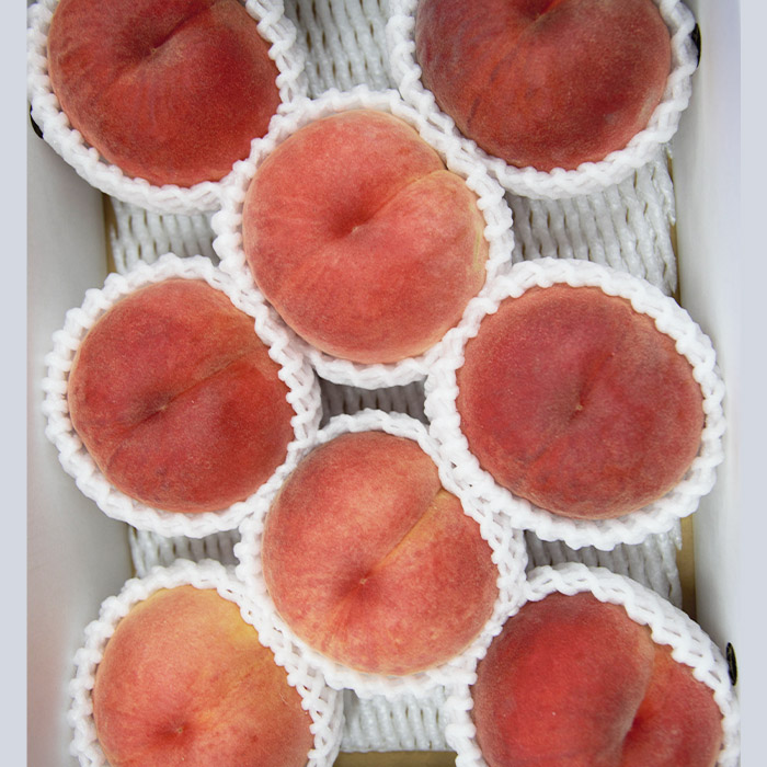 【定期便4回】山形のすっごく美味しい果物定期便 【令和8年産先行予約】FU23-767