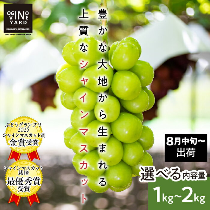 【ふるさと納税】 2026年秋収穫先行予約 山梨県産シャインマスカット 選べる容量 ふるさと納税 シャインマスカット ぶどう 葡萄 果物 フルーツ 2房 3房 4房 おすすめ 山梨県 南アルプス市 送料無料 ALPAK006