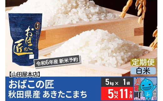 
										
										【白米】＜令和6年産 新米予約＞《定期便11ヶ月》おばこの匠 秋田県産あきたこまち 5kg×11回 計55kg 11か月 11ヵ月 11カ月 11ケ月 秋田こまち お米
									