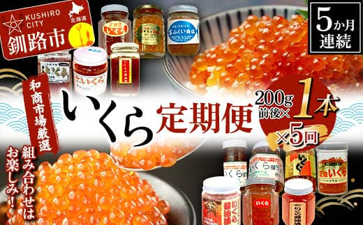 【5か月連続定期便】和商市場厳選 いくら定期便 200g×1本 鮭 秋鮭 鮭卵 魚卵 イクラ いくら丼 贅沢 ご飯のお供 和商 和商市場 勝手丼 海鮮 小分け セット F4F-5194