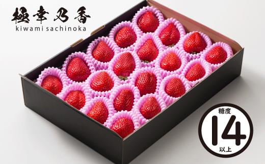 74-50_01【1月発送】園村苺園　★糖度14度以上保証★ブランド苺「極幸乃香（きわみさちのか）」