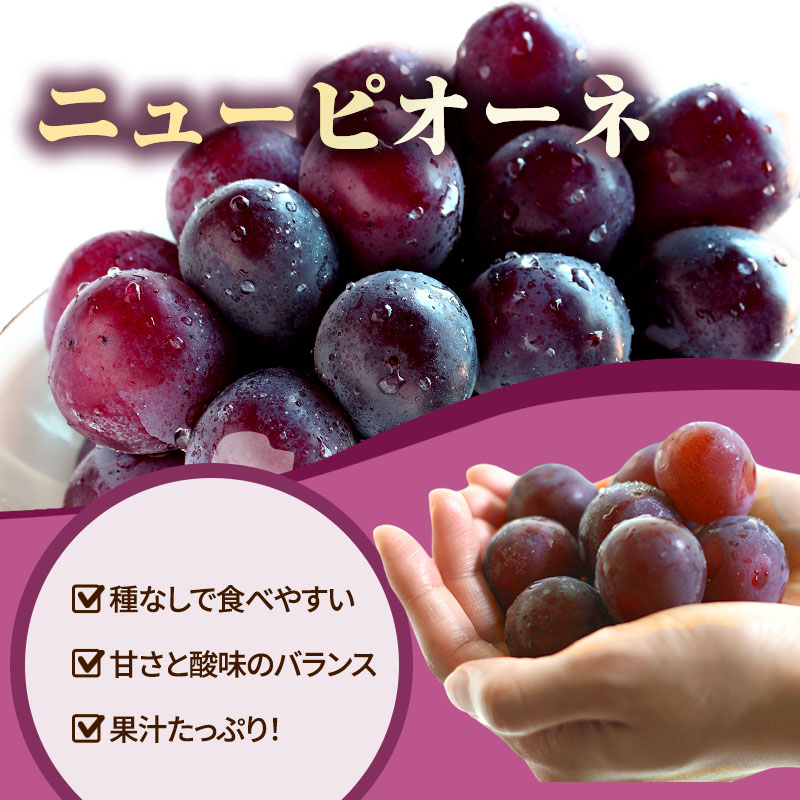 ぶどう 定期便 2回コース 食べ比べ ピオーネ シャインマスカット 各約2kg ご家庭用 辻葡萄園 葡萄 フルーツ 果物 岡山県産