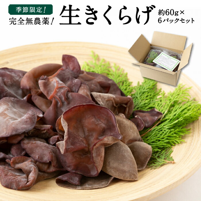 【ふるさと納税】 【先行予約】UIC 季節限定！完全無農薬！生きくらげ (約60g×6パックセット) 2025年5月上旬～7月下旬 出荷予定 きのこ キノコ 野菜 冷蔵 送料無料 福岡県 うきは市