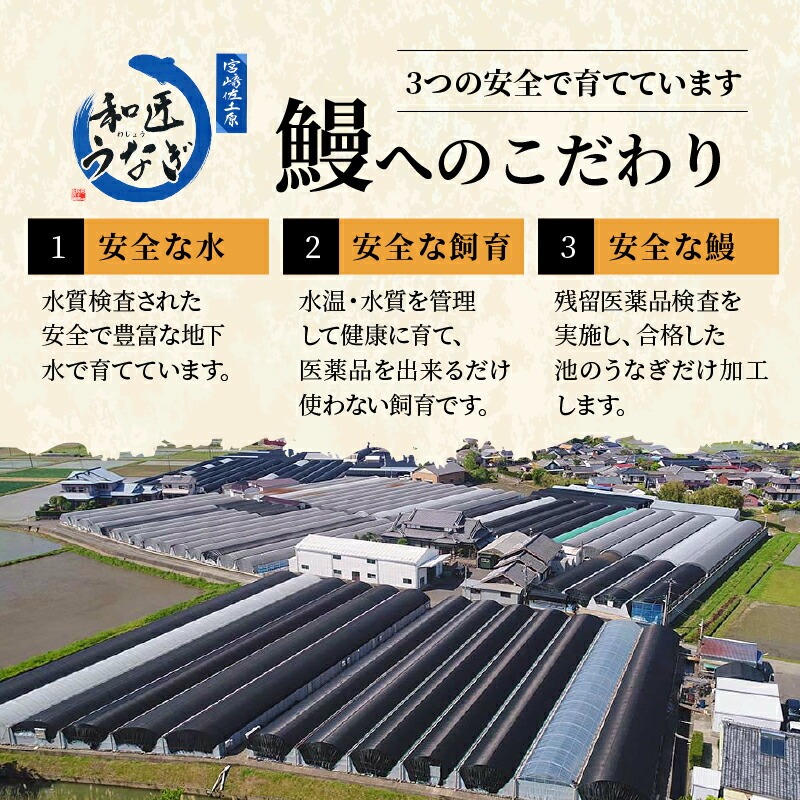 【宮崎市佐土原産】備長炭手焼き 和匠うな丼の素4袋入り 計400g うなぎ 鰻 ウナギ うなぎ蒲焼き 鰻蒲焼 鰻の蒲焼 蒲焼 きざみ 4袋 簡単調理 湯煎 ボイル 冷凍 小分け パック 真空パック う