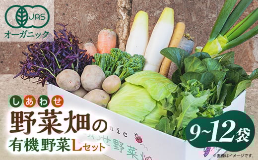 
            しあわせ野菜畑の有機野菜　Lセット　(安心の有機JAS認証　旬のオーガニック野菜　農場直送便)【1493216】
          