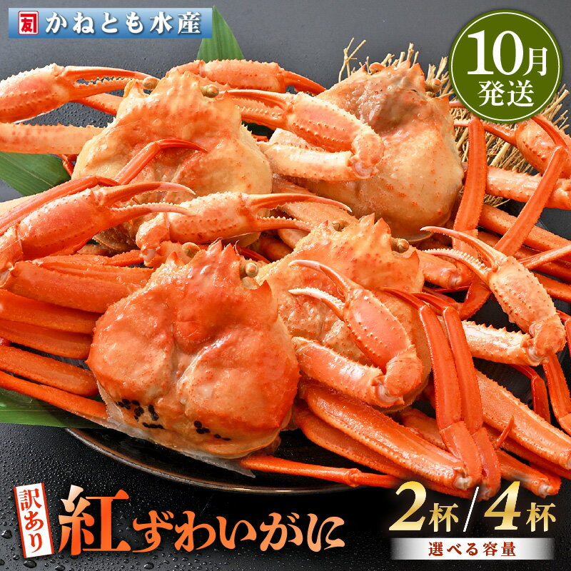 【ふるさと納税】【訳あり】≪浜茹で≫越前産 紅ずわいがに 約700g × 2杯 〜 4杯 食べ方しおり付【紅ズワイガニ カニ かに 蟹 姿 ボイル 冷蔵 福井県】【10月発送分】希望日指定不可