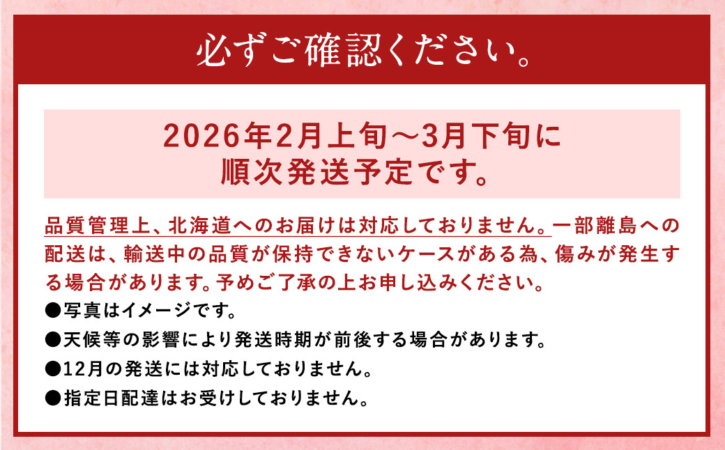 あまおう 等級DX 約1120g 約280g×4 いちご 果物 フルーツ