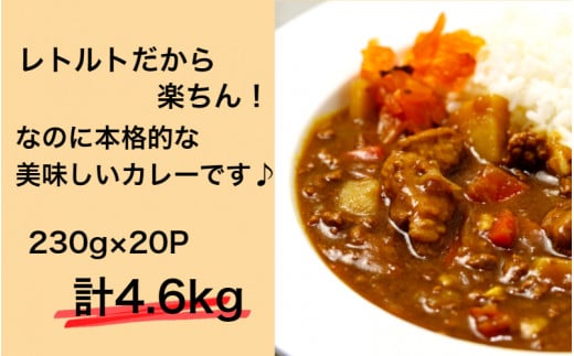 肉屋のまかない豊後牛カレー4.6kg（230g×20P）