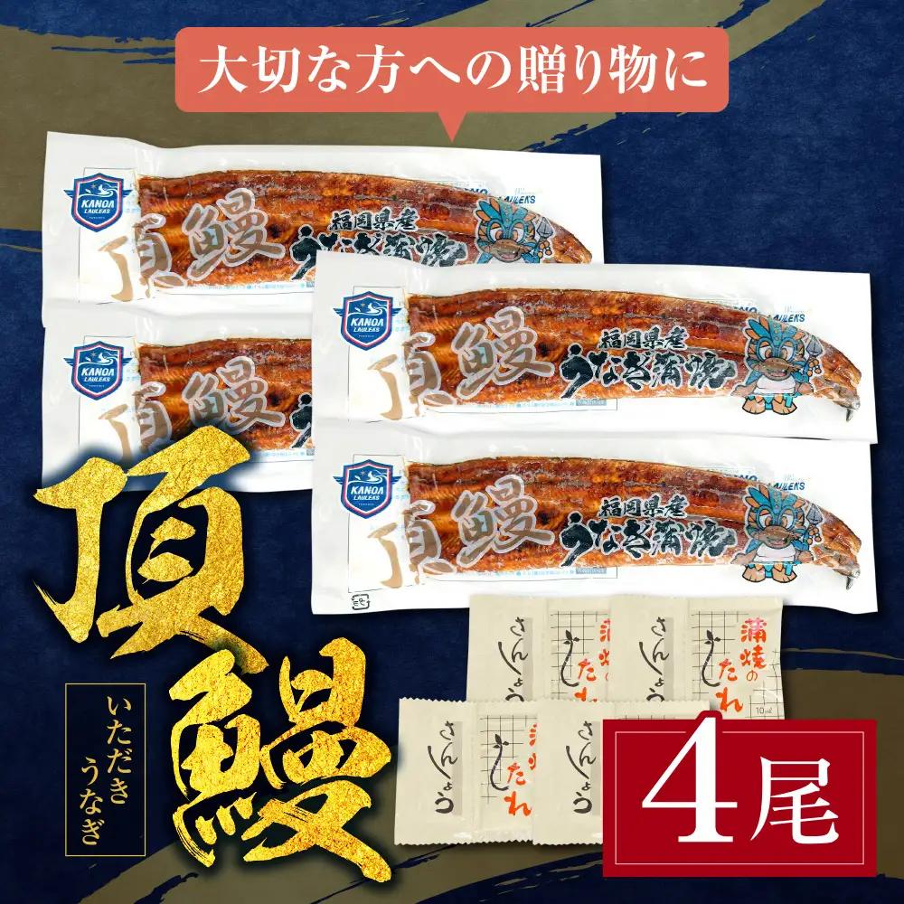 Y36-17 頂鰻 福岡県産うなぎの蒲焼 4尾セット うなぎ