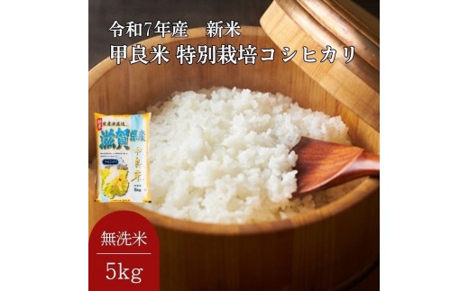 
                  お米 米 こめ コメ ライス ご飯 無洗米 コシヒカリ 5kg 甲良米 こしひかり 特別栽培米 ブランド米 銘柄米 新米 お弁当 おにぎり 産地直送 農家直送 滋賀県 甲良町
                