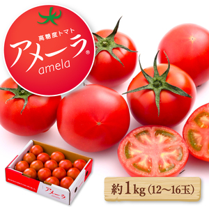 【2024年12月配送】アメーラ トマト 約 1kg 12-16玉 トマト  糖度 7.5 以上  ( ﾄﾏﾄ 野菜 ﾄﾏﾄ 野菜 ﾄﾏﾄ 野菜 ﾄﾏﾄ 野菜 ﾄﾏﾄ 野菜 ﾄﾏﾄ 野菜 ﾄﾏﾄ 野菜 ﾄﾏﾄ 野菜 ﾄﾏﾄ 野菜 ﾄﾏﾄ 野菜 ﾄﾏﾄ 野菜 ﾄﾏﾄ 野菜 ﾄﾏﾄ 野菜 ﾄﾏﾄ 野菜 ﾄﾏﾄ 野菜 ﾄﾏﾄ 野菜 ﾄﾏﾄ 野菜 ﾄﾏﾄ ﾄﾏﾄ 野菜 ﾄﾏﾄ 野菜 ﾄﾏﾄ 野菜 ﾄﾏﾄ 野菜 ﾄﾏﾄ 野菜 ﾄﾏﾄ 野菜 ﾄﾏﾄ 野菜 ﾄﾏﾄ 野菜 ﾄﾏﾄ 野菜 ﾄﾏﾄ 野菜 ﾄﾏﾄ ﾄﾏﾄ ﾄﾏﾄ