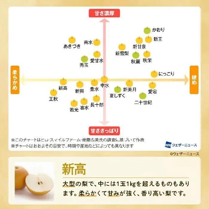 ※先行受付※【新高3kg】かまがや育ちの完熟梨（梨業組合）