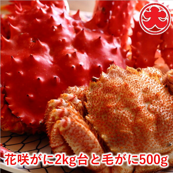 【ふるさと納税】 花咲がに 2kg 台と毛がに 500g 花咲ガニ 花咲 花咲かに 花咲蟹 かに カニ 蟹 毛ガニ 毛蟹 けがに ケガニ お取り寄せ グルメ 海鮮 北海道 根室市 ふるさと納税 D-01043