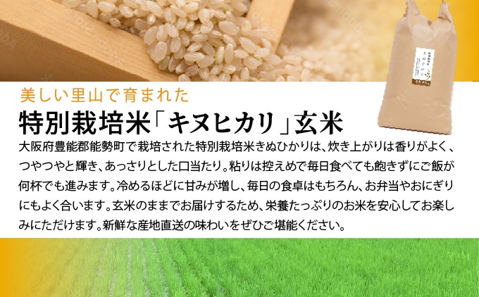【栽培期間中農薬・化学肥料不使用】  「 特別栽培米キヌヒカリ」10kg (玄米)  | 合同会社農園のら