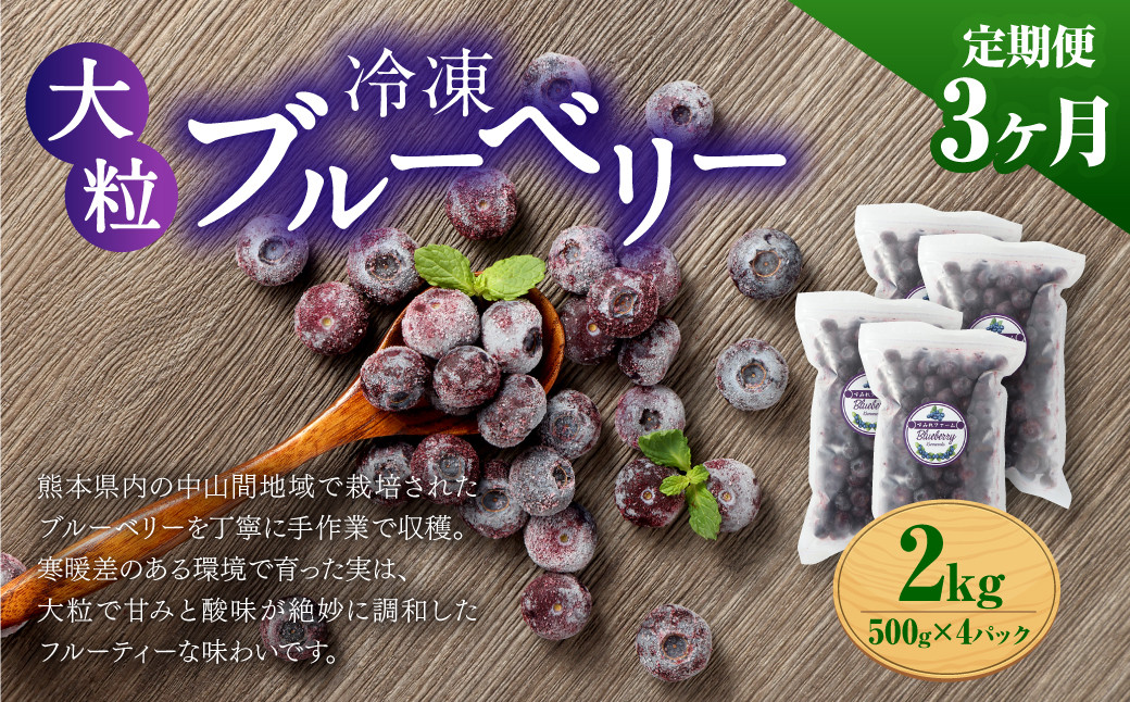 
                  【3か月連続定期便】 熊本県産 大粒 冷凍ブルーベリー 2kg（500g×4パック）×3回 合計6kg  フルーツ 果物 くだもの 冷凍 ブルーベリー 国産
                