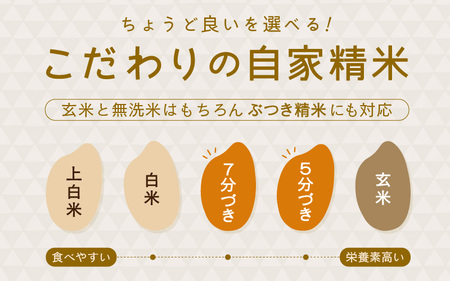 【令和5年産】さんさん池見二代目が笑顔で育てた 福井県産 コシヒカリ お試し用 5kg（上白米）【お米 こしひかり 白米 5キロ 選べる 精米 ブランド米 ごはん ご飯 おいしい 人気 ふるさと納税米