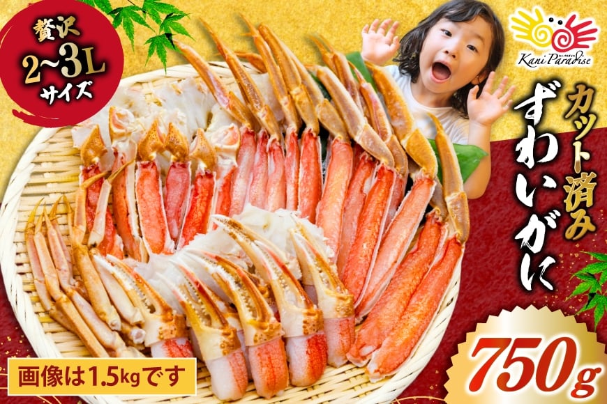 
            訳あり【選べる配送時期】カット済 生 ずわいがに むき身 セット 総重量750g (正味重量600g) 2-3Lサイズ 11月配送/12月前半配送/12月後半配送/指定なし[カネダイ 宮城県 気仙沼市 20565697] かに カニ ズワイガニ ずわい ズワイ 蟹
          