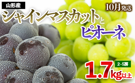 やまがたのぶどう シャインマスカット＆ピオーネ 秀品 約1.7kg(2～5房程度) [10月発送] 【令和7年産先行予約】FS23-753 くだもの 果物 フルーツ 山形 山形県 山形市 2025年産