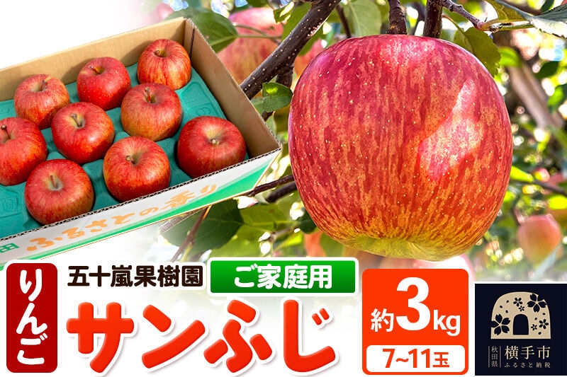 
                  【先行受付】12月中旬より発送 サンふじ【ご家庭向け】約3kg（7～11玉）りんご 林檎 [先行予約 サンふじ サンフジ 林檎 リンゴ りんご ご家庭用 家庭用 ご家庭向け 家庭向け フルーツ 果物 秋田県 横手市]
                