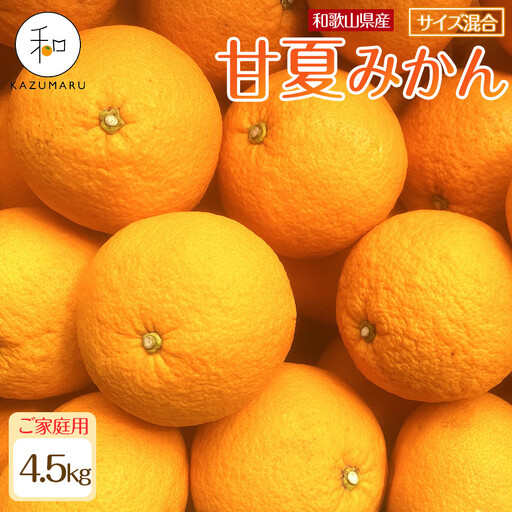 家庭用 森本農園の手選別 甘夏みかん 約4.5kg 和歌山県産 サイズ混合 ［北海道・沖縄・離島配送不可］［2026年4月上旬から順次発送］［RN69］